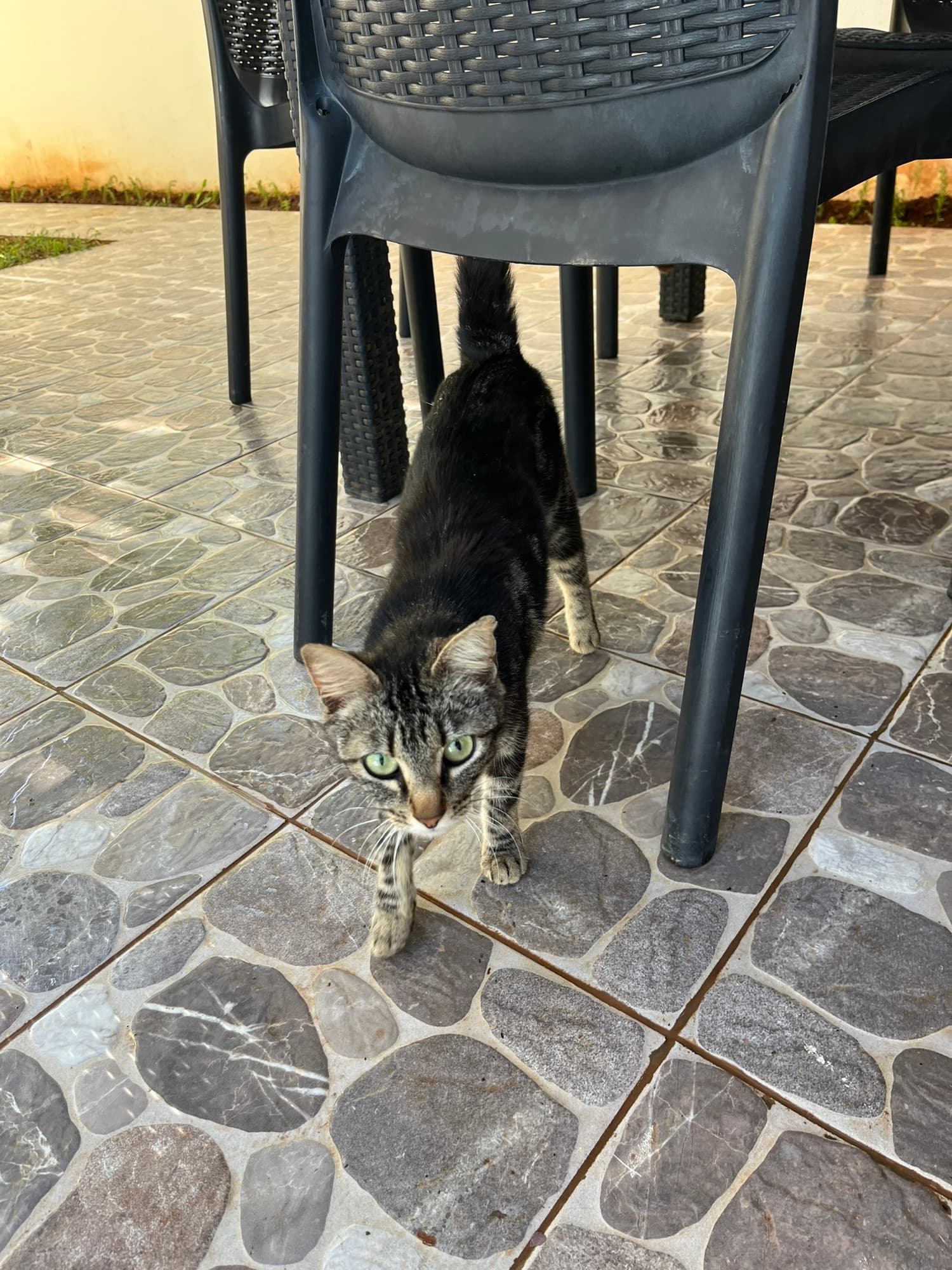 Maison Azur — Other 4